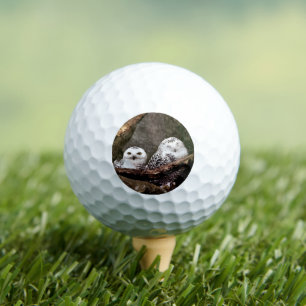 Snowy Owl Pair Woodland Wildlife Art Golf Balls