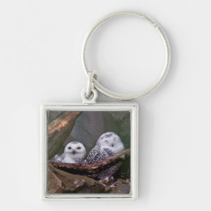 Snowy Owl Pair Woodland Wildlife Art Key Ring