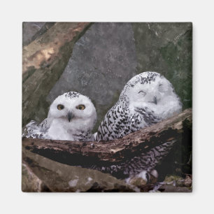 Snowy Owl Pair Woodland Wildlife Art Magnet