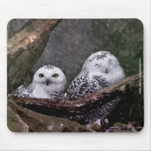 Snowy Owl Pair Woodland Wildlife Art Mouse Pad