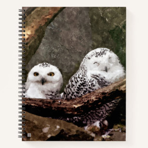 Snowy Owl Pair Woodland Wildlife Art Notebook