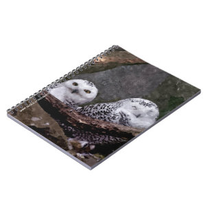 Snowy Owl Pair Woodland Wildlife Art Notebook
