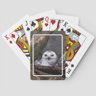 Snowy Owl Pair Woodland Wildlife Art Playing Cards