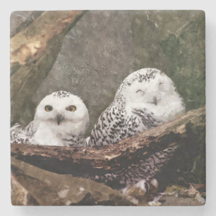 Snowy Owl Pair Woodland Wildlife Art Stone Coaster