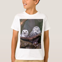 Snowy Owl Pair Woodland Wildlife Art