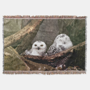 Snowy Owl Pair Woodland Wildlife Art Throw Blanket