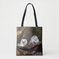 Snowy Owl Pair Woodland Wildlife Art