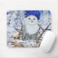 Snowy Owl Perched in Winter Wonderland With Snow