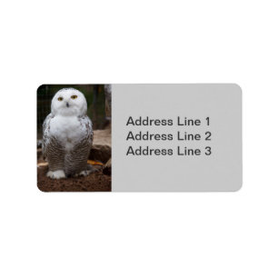 Snowy Owl Photo Label