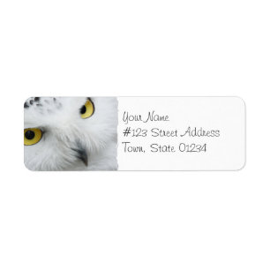 Snowy Owl Photo Mailing Labels