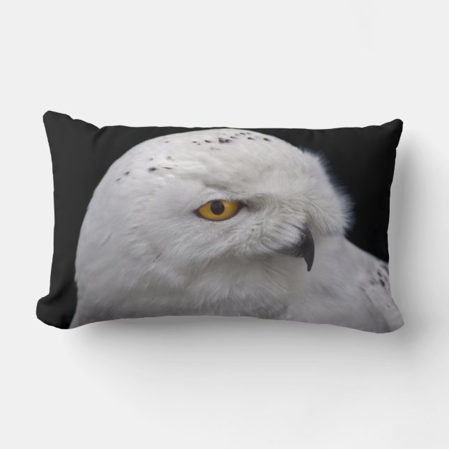 Snowy Owl Pillow (Front)