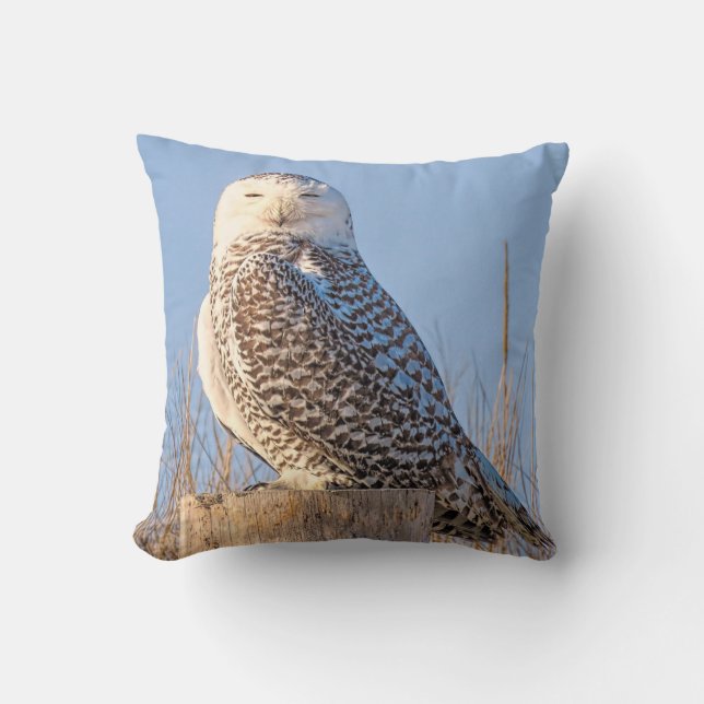 Snowy Owl - pillow (Front)