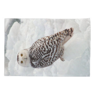 Snowy Owl pillow case