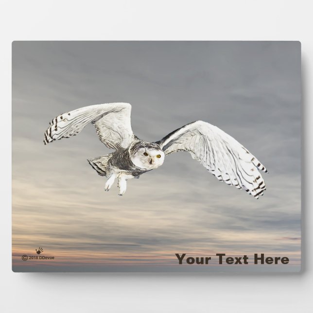 Snowy Owl Plaque (Front)