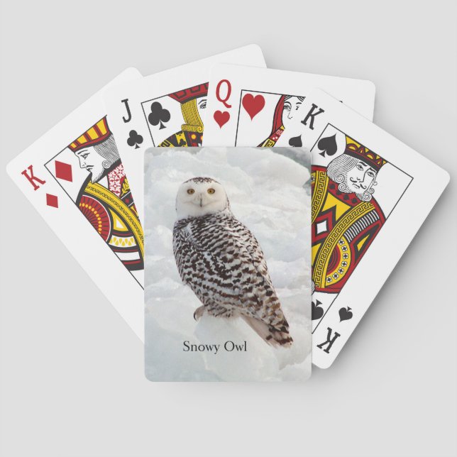 Snowy Owl playing cards (Back)