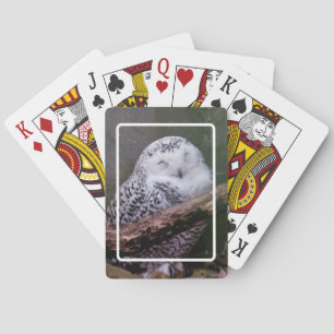 Snowy Owl Playing Cards