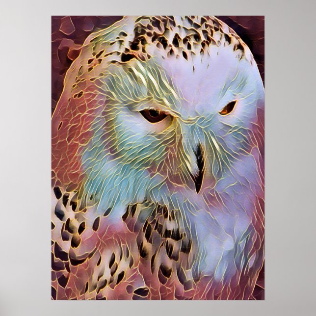 SNOWY OWL    POSTER (Front)