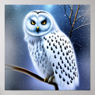 Snowy owl  poster