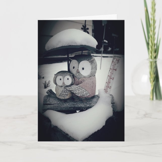 "Snowy Owl Rain Gauge" Get Well Card (Front)
