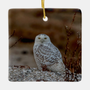 Snowy owl sitting on a rock ceramic ornament