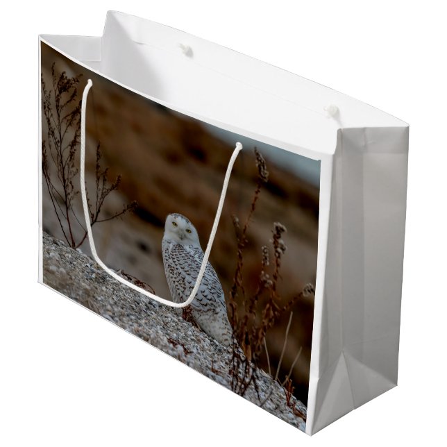 Snowy owl sitting on a rock large gift bag (Front Angled)