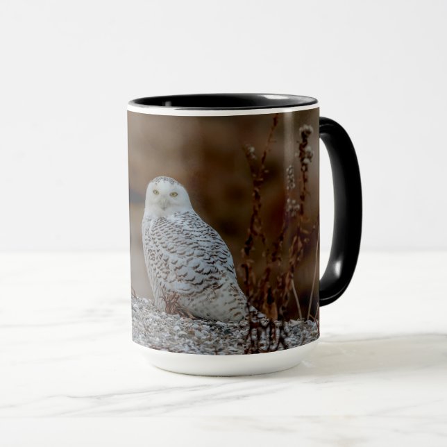 Snowy owl sitting on a rock mug (Front Right)