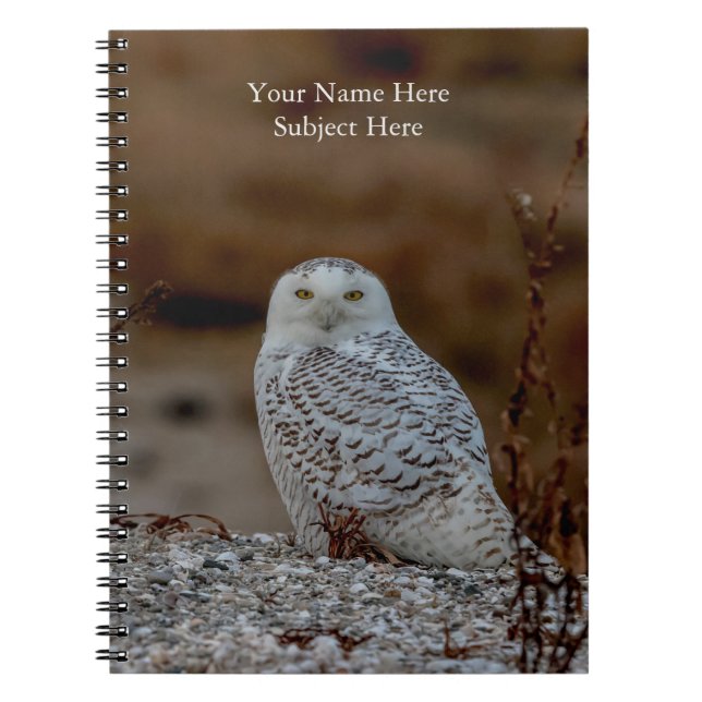 Snowy owl sitting on a rock spiral notebook (Front)