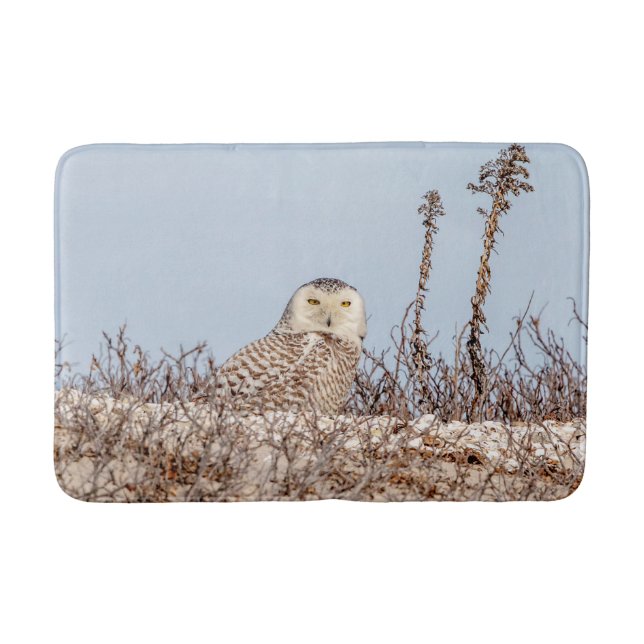 Snowy owl sitting on the beach bath mat (Front)