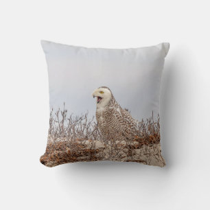 Snowy owl sitting on the beach cushion