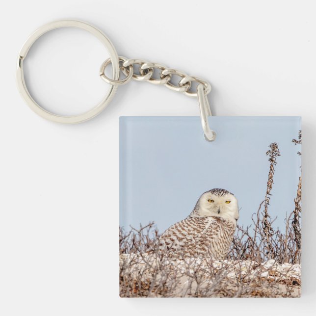 Snowy owl sitting on the beach key ring (Front)