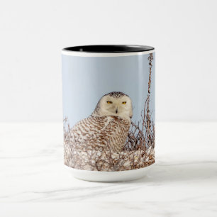 Snowy owl sitting on the beach mug