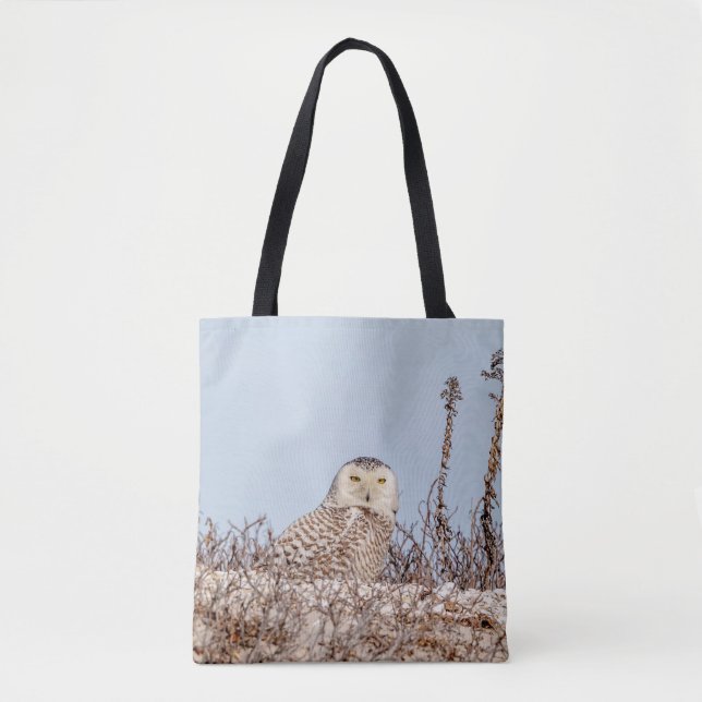 Snowy owl sitting on the beach tote bag (Front)