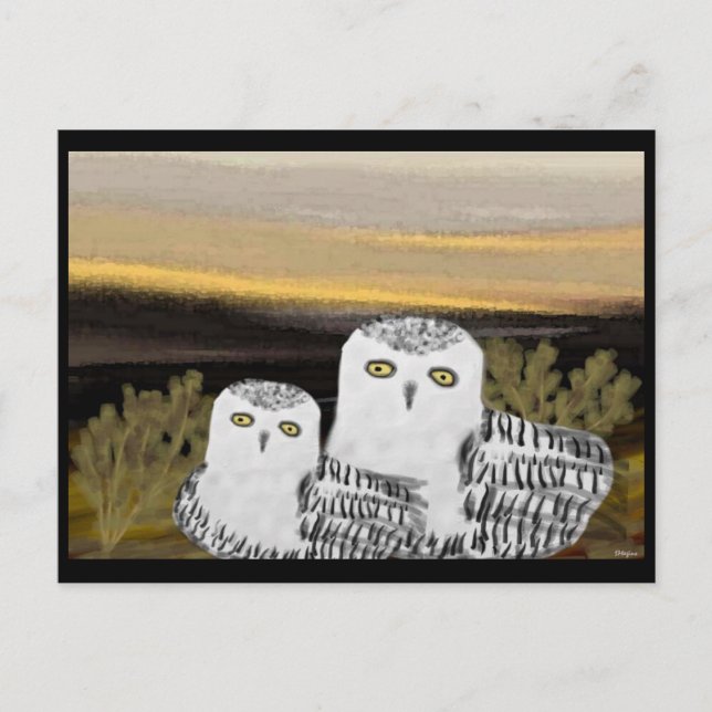Snowy Owl Sunrise Postcard (Front)