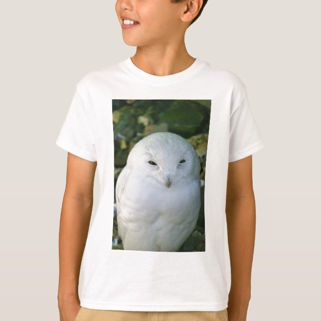 Snowy Owl T-Shirt (Front)