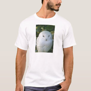 Snowy Owl T-Shirt