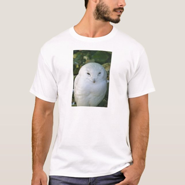 Snowy Owl T-Shirt (Front)