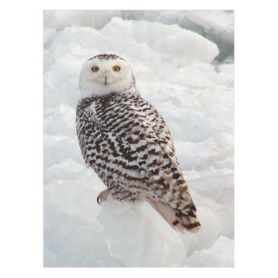 Snowy Owl table cloth