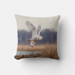 Snowy owl taking off cushion