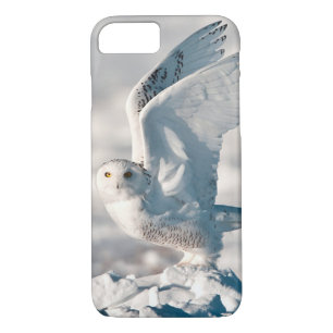 Snowy Owl taking off from snow Case-Mate iPhone Case