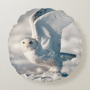 Snowy Owl taking off from snow Round Cushion