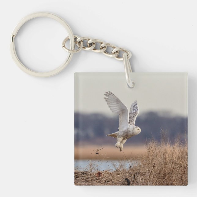 Snowy owl taking off key ring (Front)