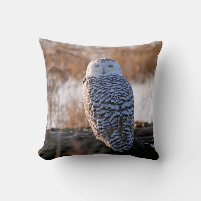 Snowy Owl Winking Cushion (Front)