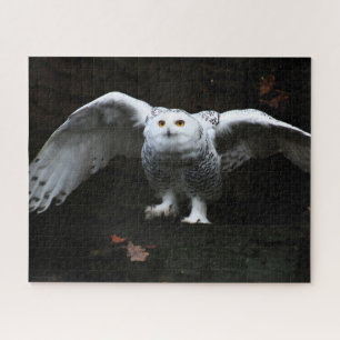 Snowy Owl With Open Wings 16x20 520pc jpcnm Jigsaw Puzzle