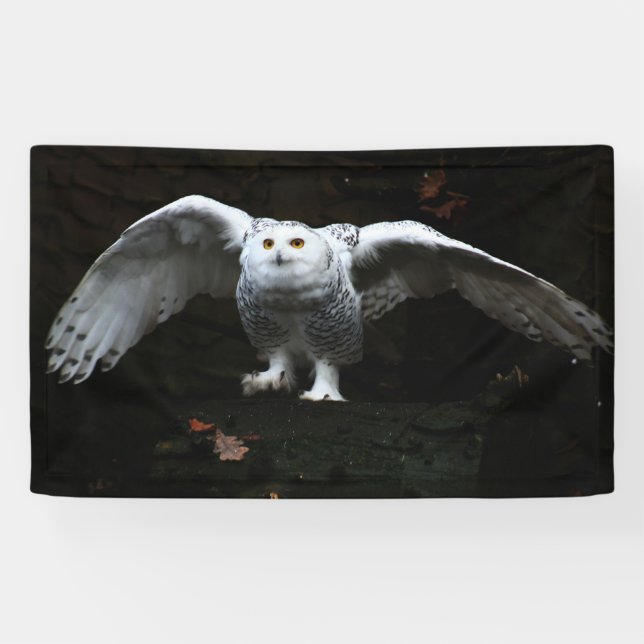 Snowy Owl With Open Wings bnrcnm Banner (Horizontal)