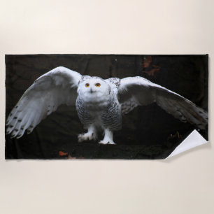 Snowy Owl With Open Wings btcnm Beach Towel