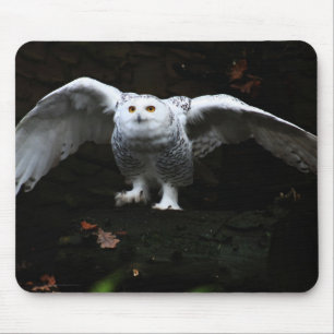 Snowy Owl With Open Wings mpcna Mouse Pad