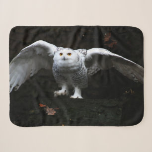Snowy Owl With Open Wings sbcna Sherpa Blanket