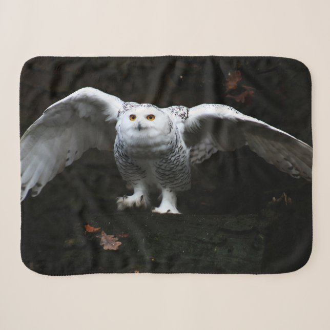 Snowy Owl With Open Wings sbcna Sherpa Blanket (Front (Horizontal))