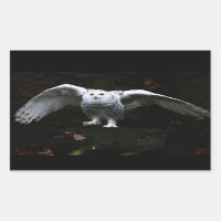 Snowy Owl With Open Wings stcna