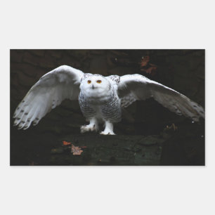 Snowy Owl With Open Wings stm Rectangular Sticker